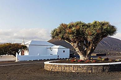 《异形：外来入侵》12＆19推出 新预告片展示