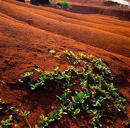 《时尚造梦》冬季免费更新即将引入全新内容和功能