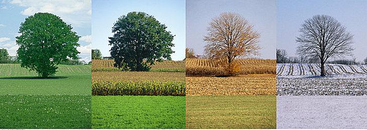 《古惑狼：疯狂三部曲》官宣8月8日登陆Game Pass