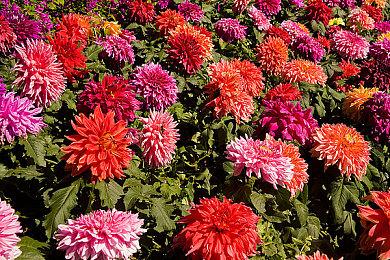 《死亡空间：重制版》新截图 现已上架Xbox商城