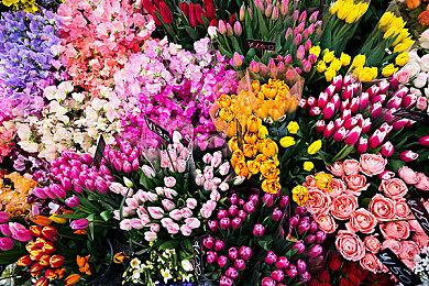 太空战略游戏《地球不屈》Steam抢测将于9月26日开启